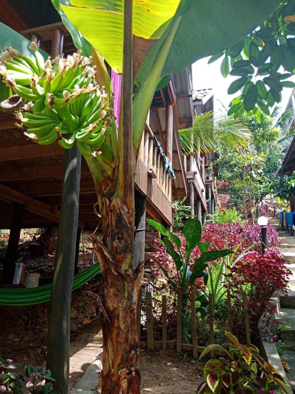 Happy Elephant Bungalows Kaoh Touch Esterno foto
